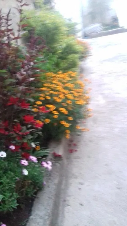 Kokeb Pension Addis Ababa Guest house